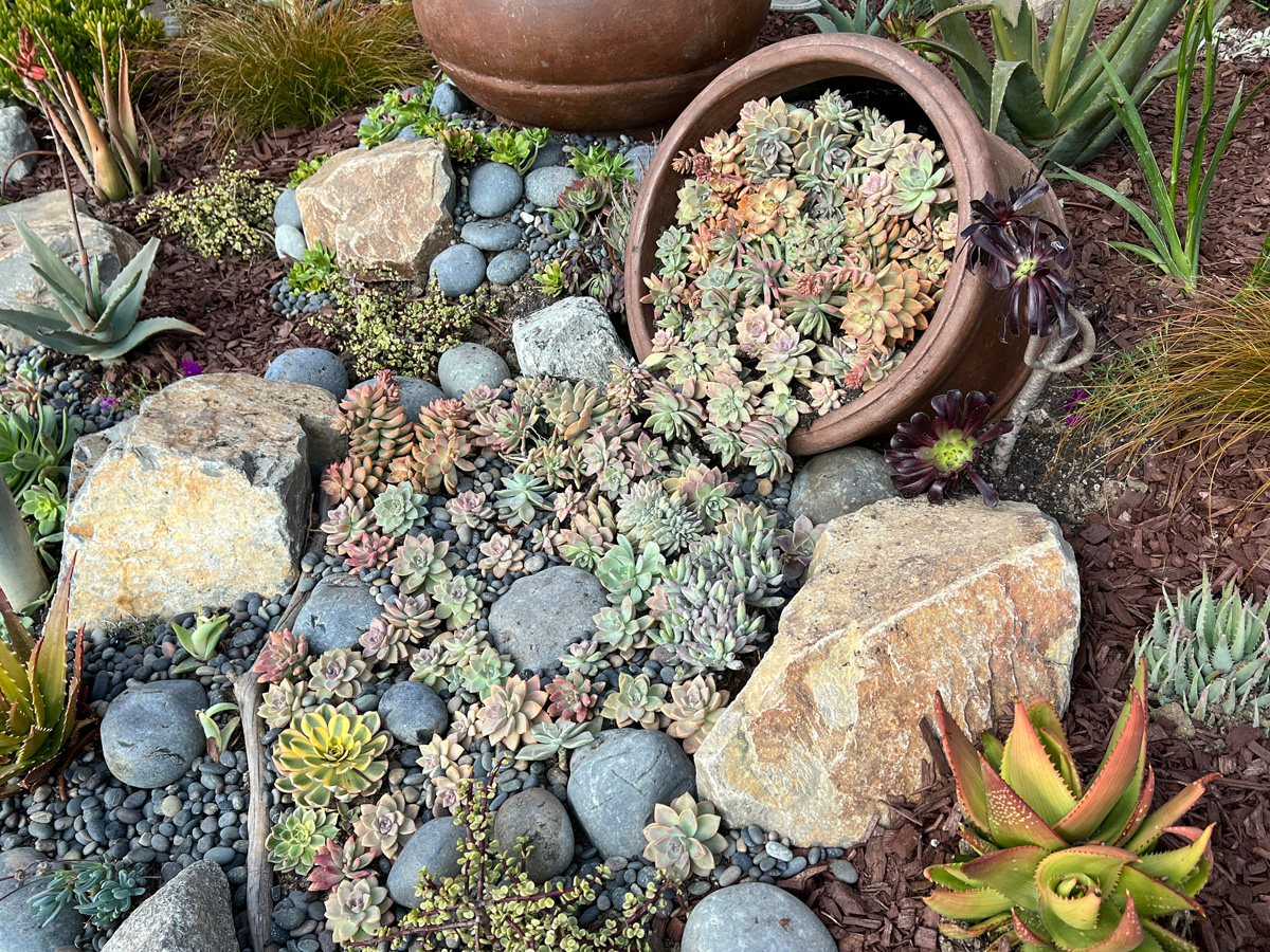 21 - A tilted pot overflowing with succulents